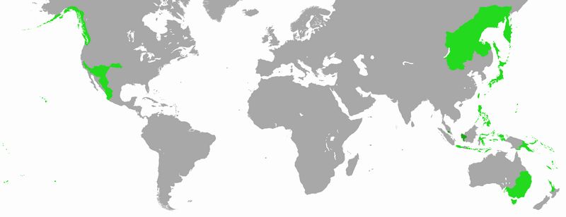 tatibana96.jpg